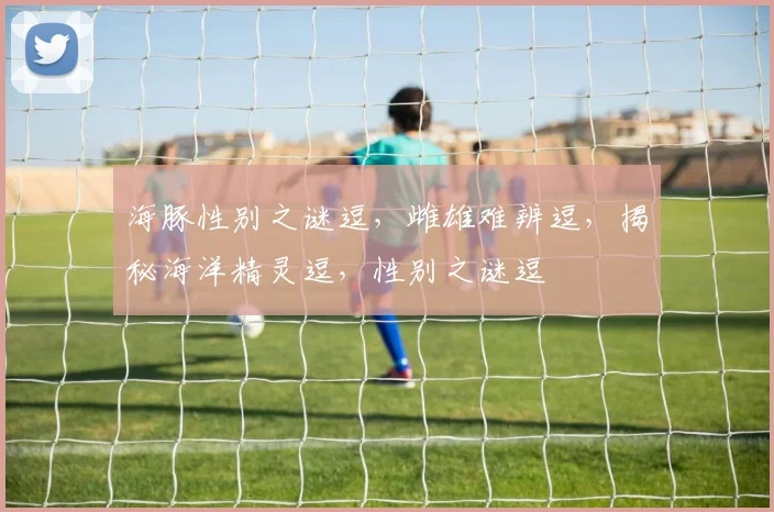 海豚性别之谜逗，雌雄难辨逗，揭秘海洋精灵逗，性别之谜逗