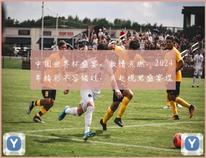 中国世界杯盛宴，激情点燃，2024年精彩不容错过，共赴视觉盛宴逗