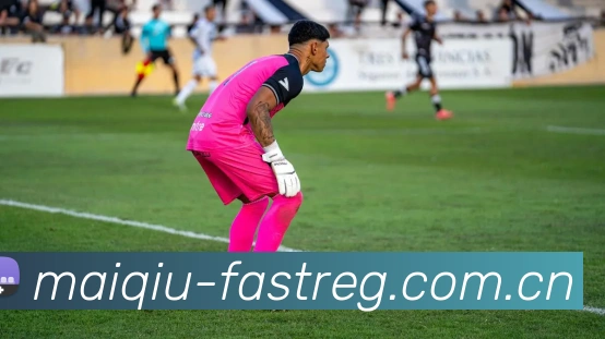 未来规划